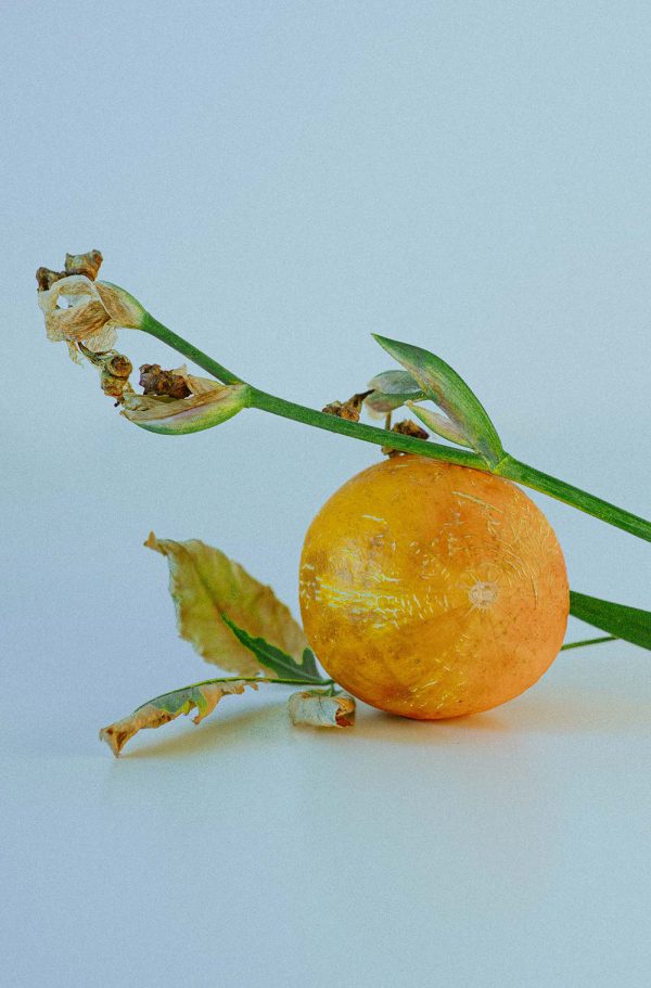 About us zenithglobal